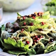 Red & Green Healthy Holiday Salad