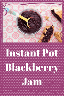 Instant Pot Blackberry Jam - Green Scheme Instant Pot ...