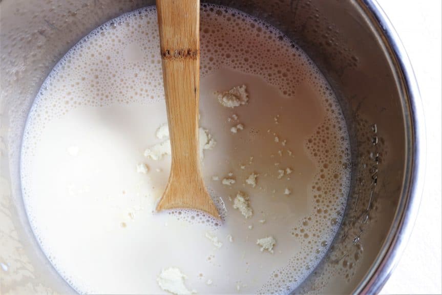 Homemade Instant Pot Vegan Kefir is fresh, creamy and healthy.