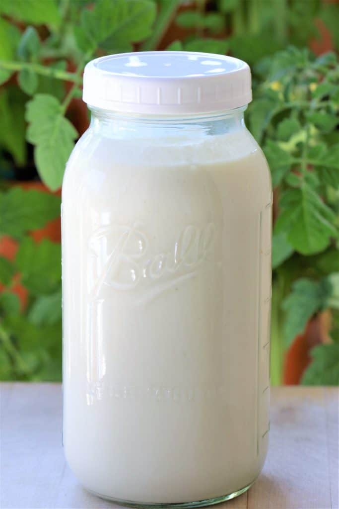 Homemade Instant Pot Vegan Kefir