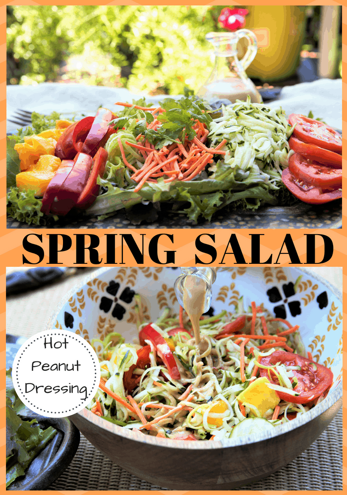 SPRING VEGETABLE SALAD