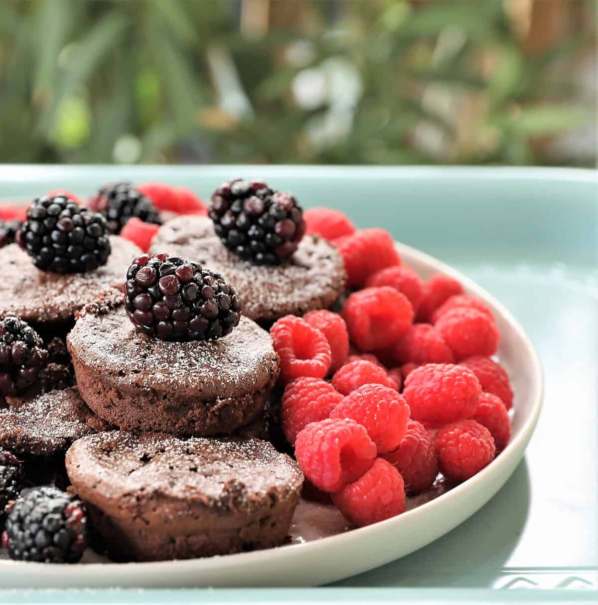 Chocolate Muffins